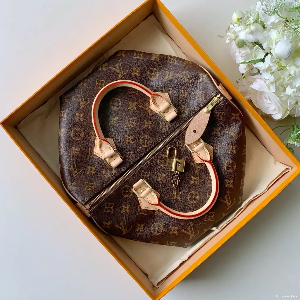 AAA Pruses Bags Louis Vuitton SPEEDY 30 0629